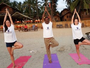 24 Day 200-Hour Hatha and Ashtanga Vinyasa Yoga Teacher Training in Goa