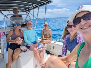 7 Day Dolphin Magic: Co-Ed Atlantis Codes Holiday in  Alice Town, Bahamas