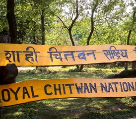 3 jours circuit faune de luxe à Chitwan, Népal - Photo 3