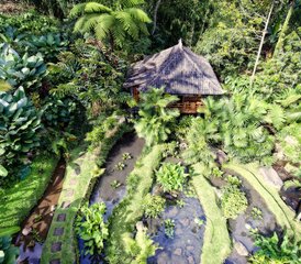 8 Day Ashtanga Yoga and Personal Development Retreat in Bali, Indonesia - Photo 4
