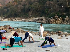 5 Day Meditation and Gentle Flow Yoga Retreat in Rishikesh, India