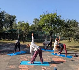 Retiro de yoga y bienestar de 3 días en Jaipur, Rajastán, India - Photo 5