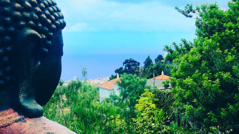 8 Tage Ayurveda-Kur in Gemeinschaftlicher Atmosphäre mit Yoga und Massagen auf Teneriffa, Spanien