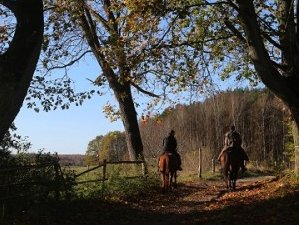 4 Tage Wochenend-Reiturlaub mit Naturerlebnis im Drawski-Landschaftspark, Polen