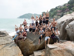 300-Hour Advanced Vikasa Yoga Academy Teacher Training in Koh Samui, Thailand